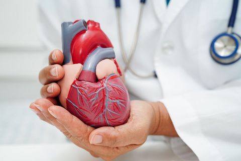 Heart Consultation Guide: Knowledge, Tips, Resources, and Preventive Care Insights